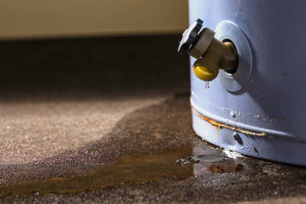 Best Ceiling water damage repair  in La Fayette, AL
