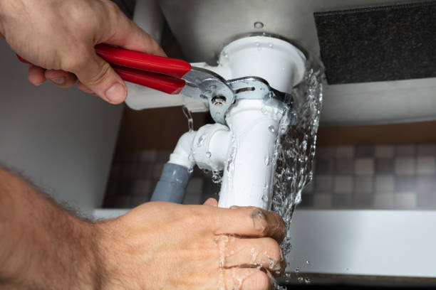 Best 24-hour water damage restoration  in La Fayette, AL