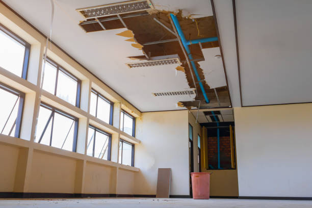 Best Basement water damage restoration  in La Fayette, AL