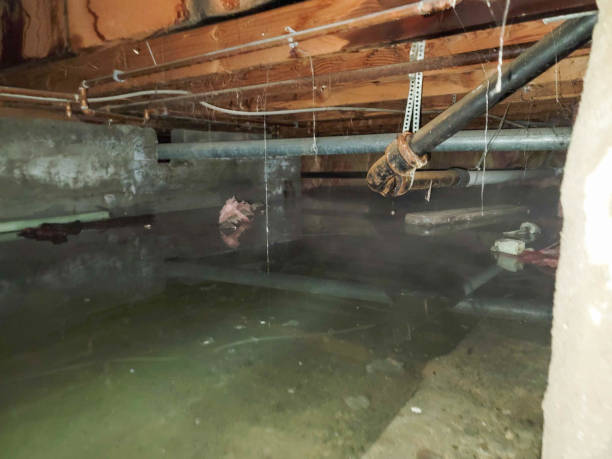 La Fayette, AL Water damage restoration Company