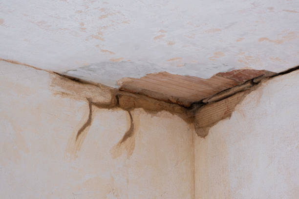 Best Sewage cleanup and water damage restoration  in La Fayette, AL