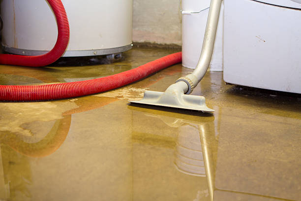 Best Professional water damage repair  in La Fayette, AL