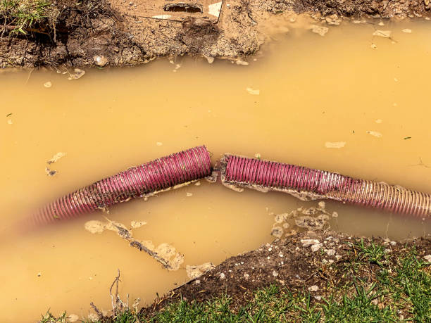 Best Water damage restoration mold remediation  in La Fayette, AL